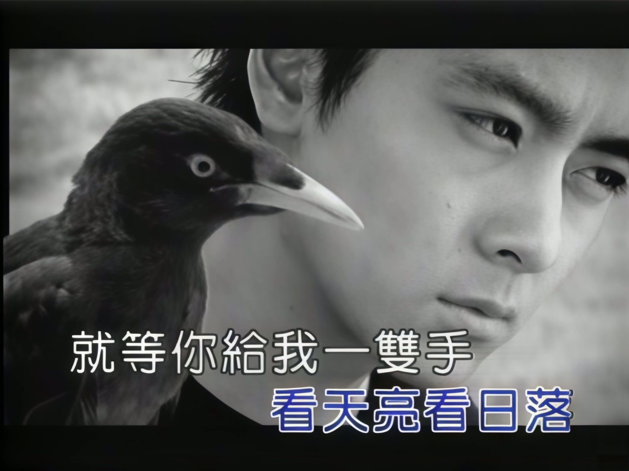 林志颖 - 稻草人 (1).jpg