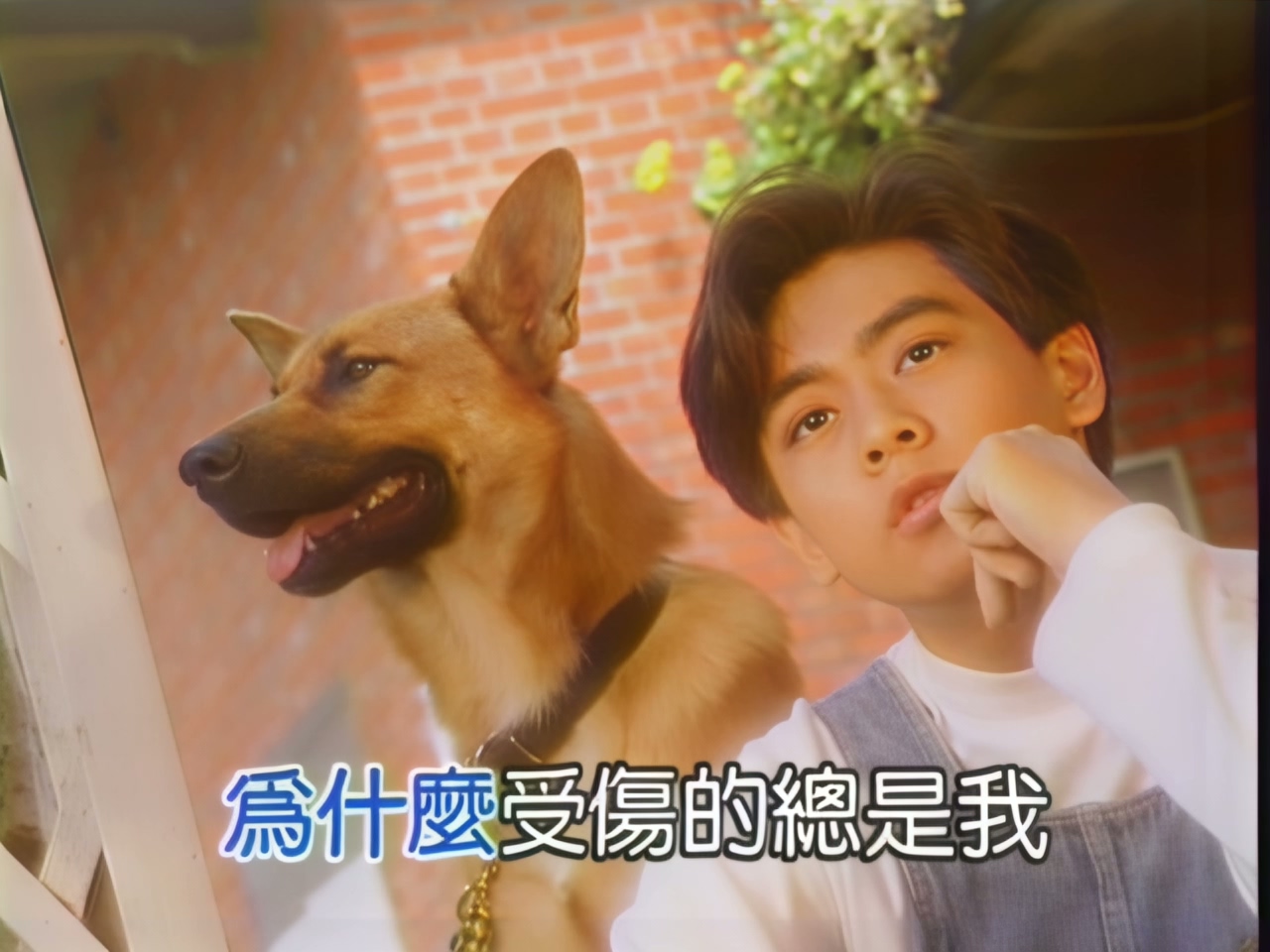 林志颖 - 为什么受伤的总是我 (1).jpg