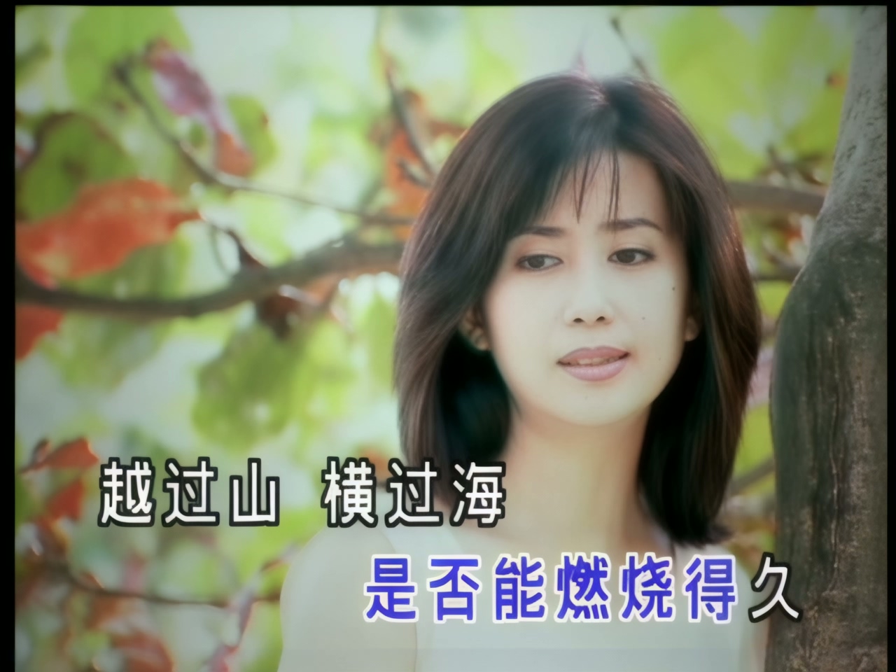 孟庭苇 - 风里的梦  (1).jpg