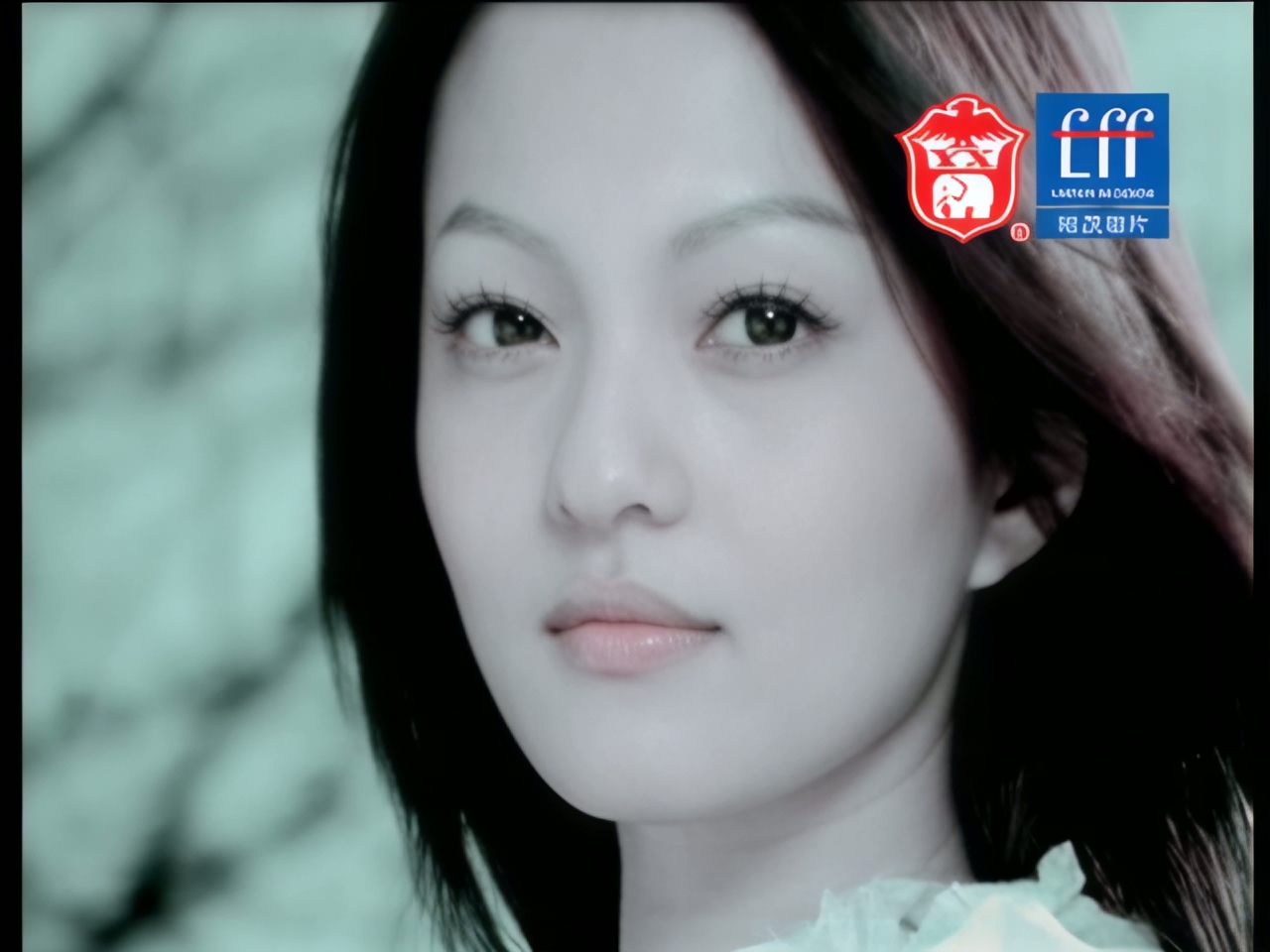 张韶涵 - 梦里花.jpg